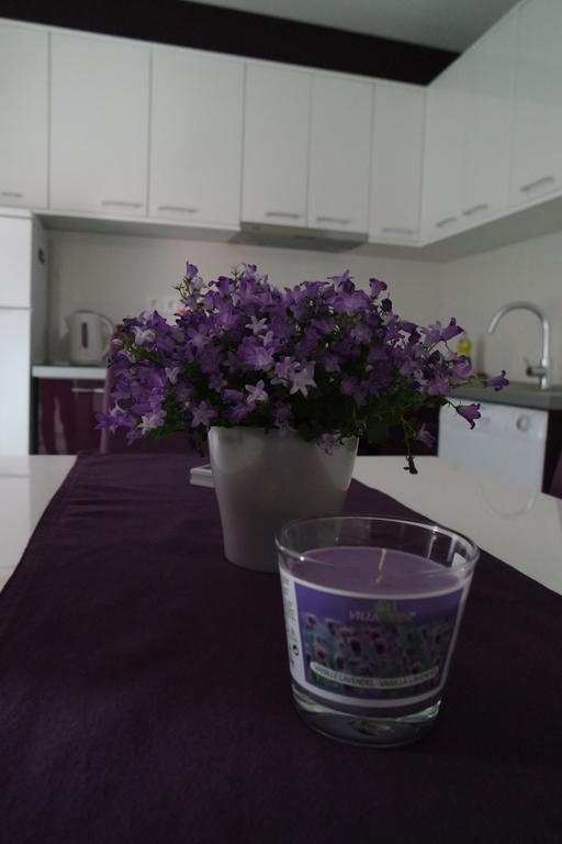 Apartments Jadranka Novalja Extérieur photo
