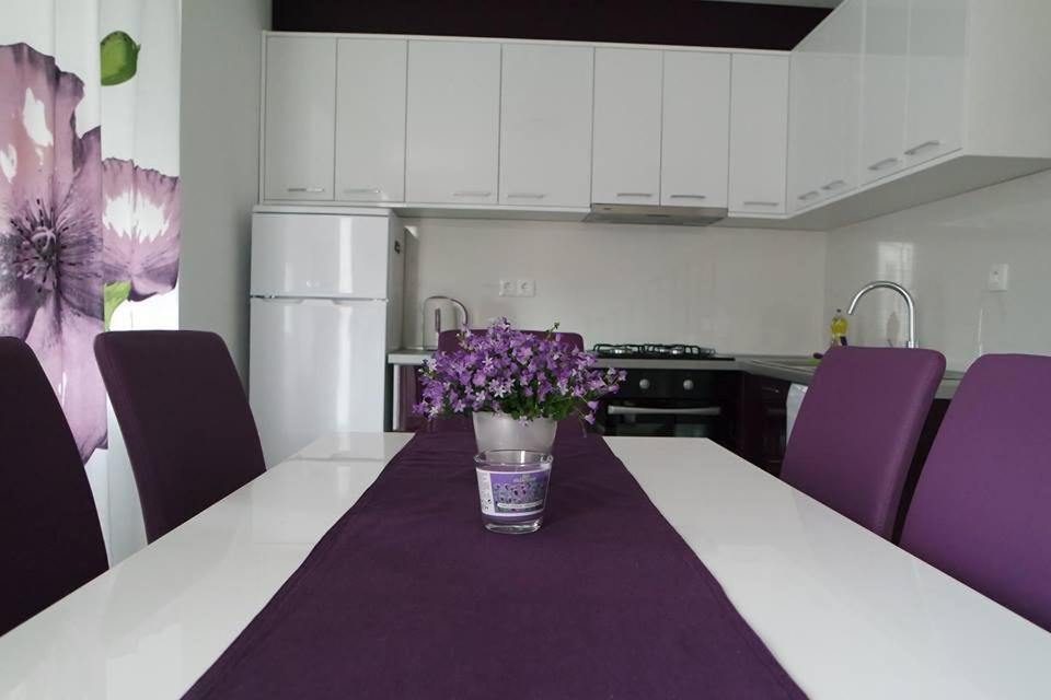 Apartments Jadranka Novalja Extérieur photo